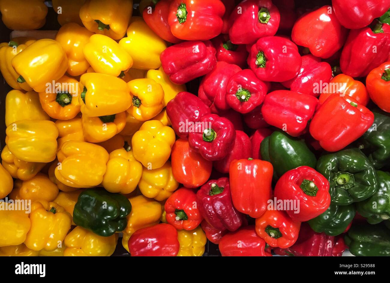 Paprika in verschiedenen Farben auf dem Markt. Stockfoto