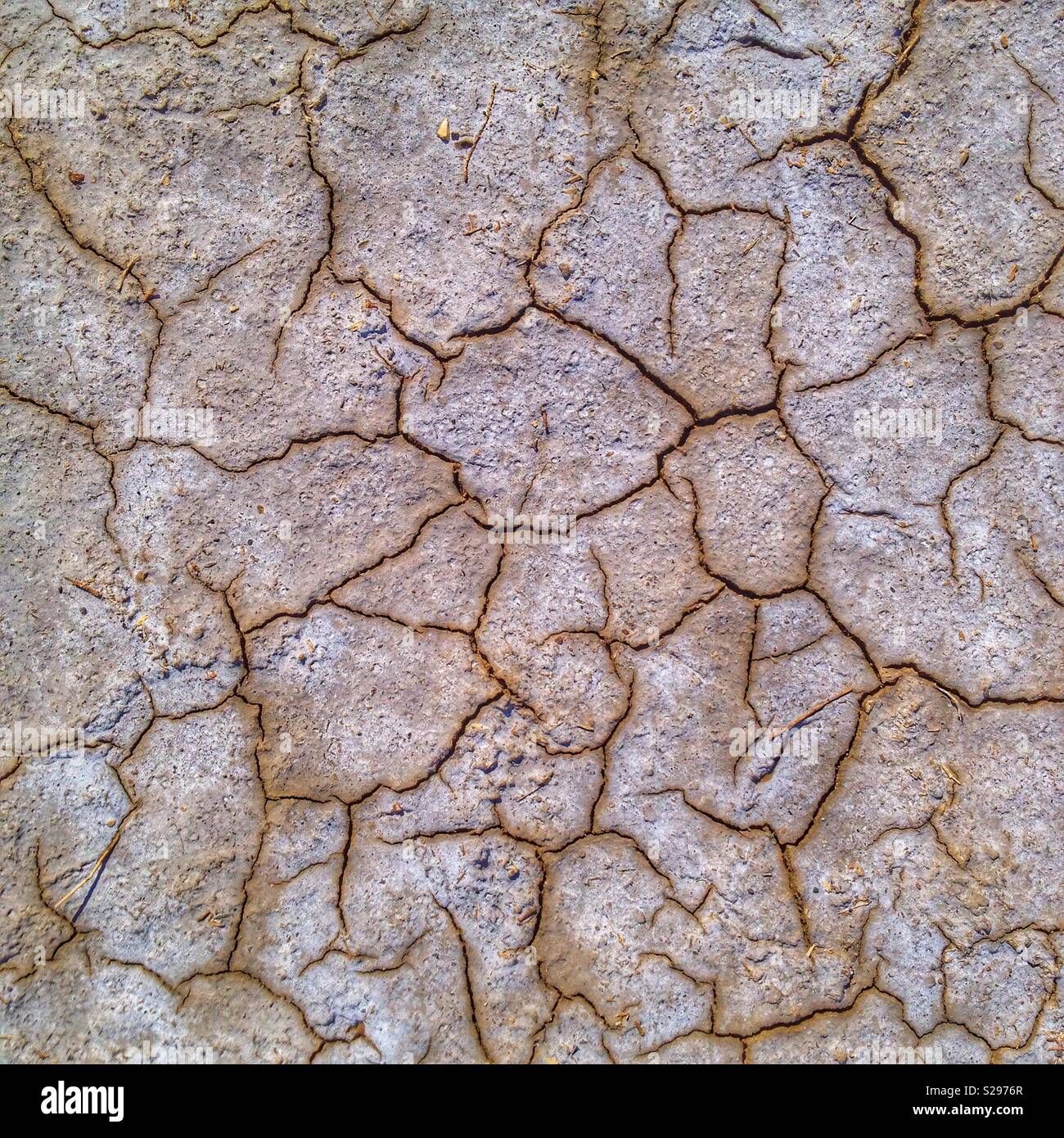 Nahaufnahme von Rissige Erde - Smartphone-aufgenommenes Stockfoto