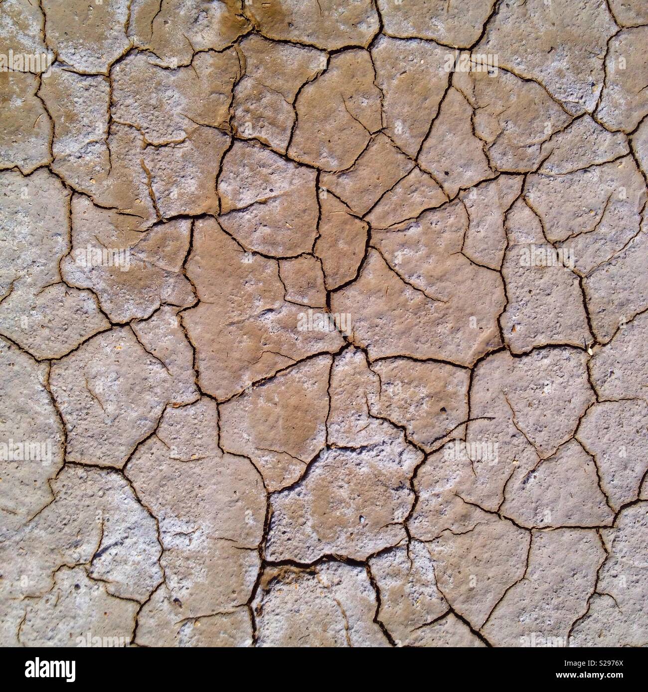 Nahaufnahme von Rissige Erde - Smartphone-aufgenommenes Stockfoto