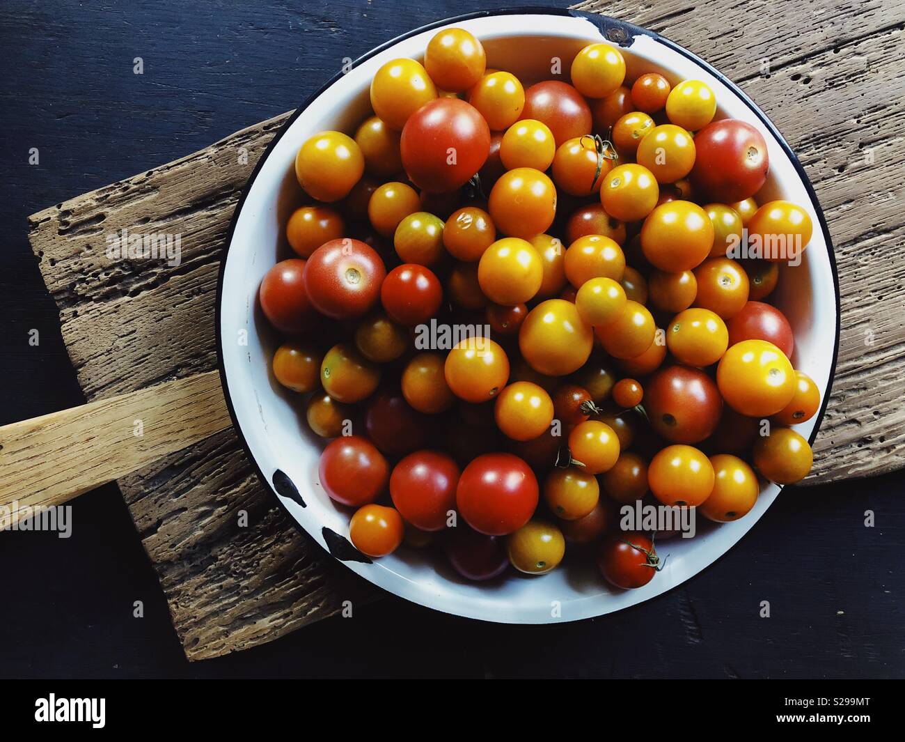Cherry Tomaten aus einem städtischen Garten geerntet Stockfoto