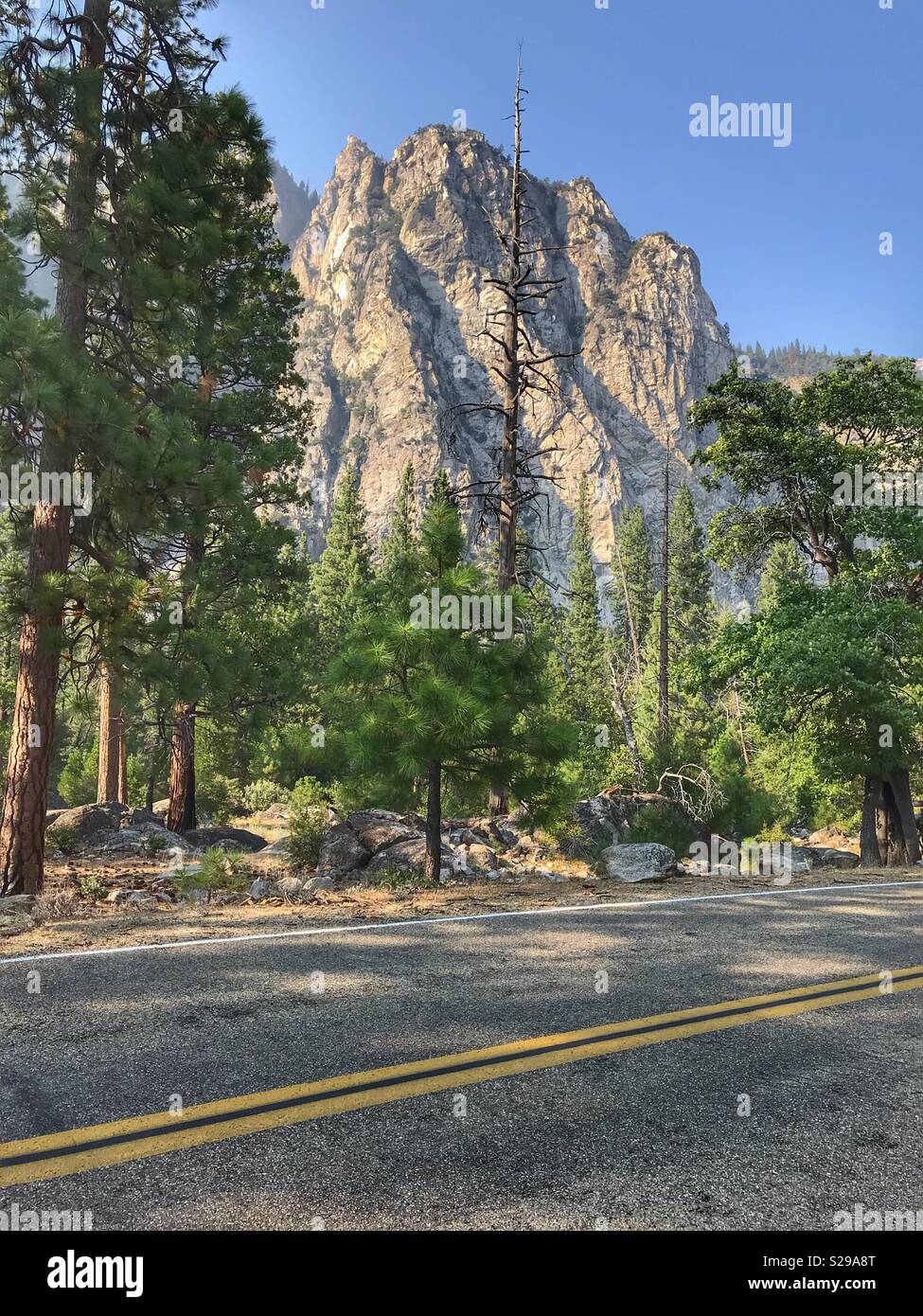 Berg mit Bäumen Stockfoto