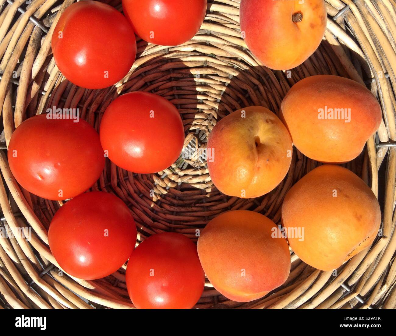 Tomaten und Aprikosen auf einem wicker Fach reifen in der Sonne Stockfoto