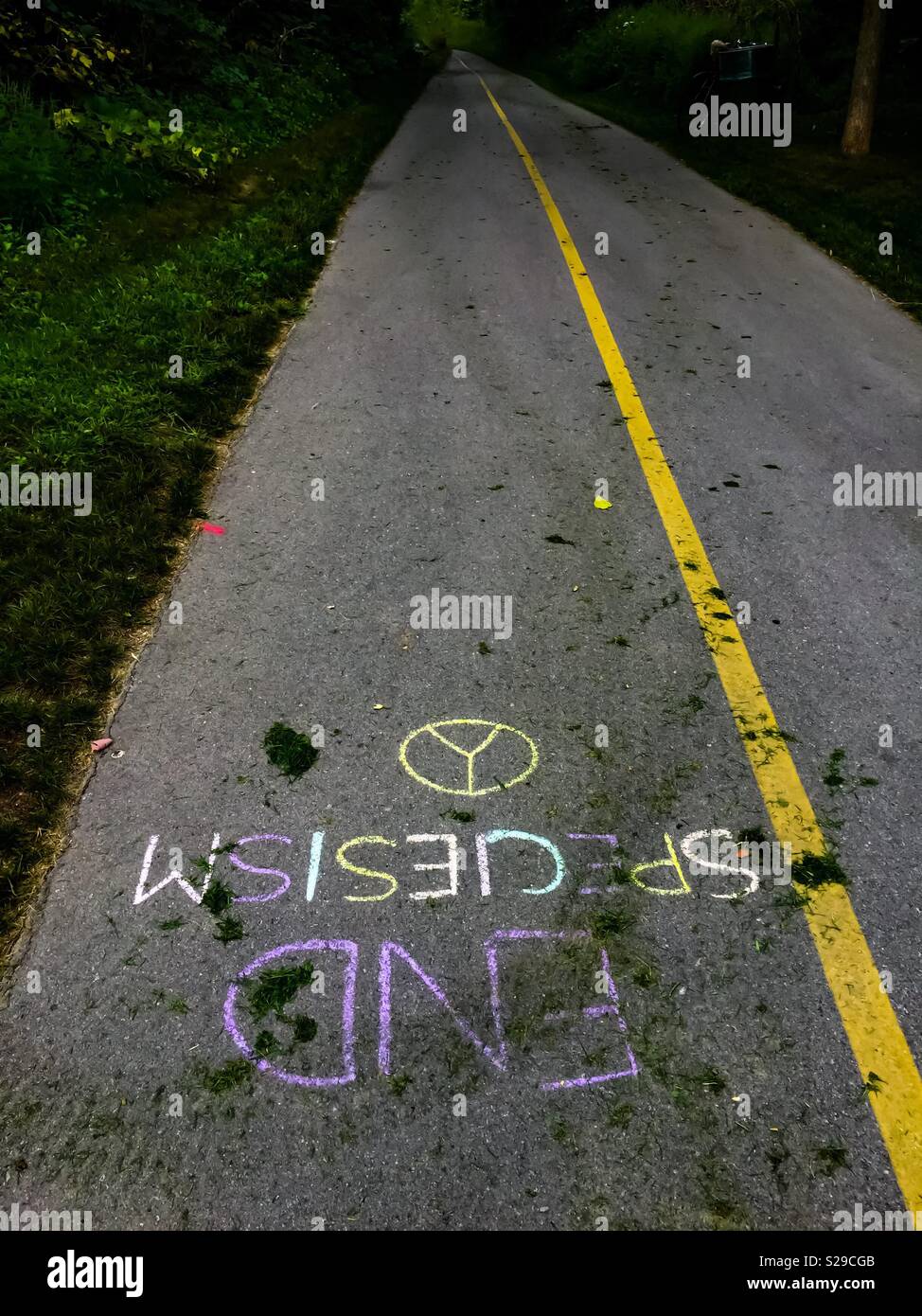 Ende der Speziesismusbotschaft in Kreide auf einem befestigten Radweg in einem öffentlichen Park, Ontario, Kanada. Vegetarier, Veganer, pflanzlich, alle vereint Stockfoto