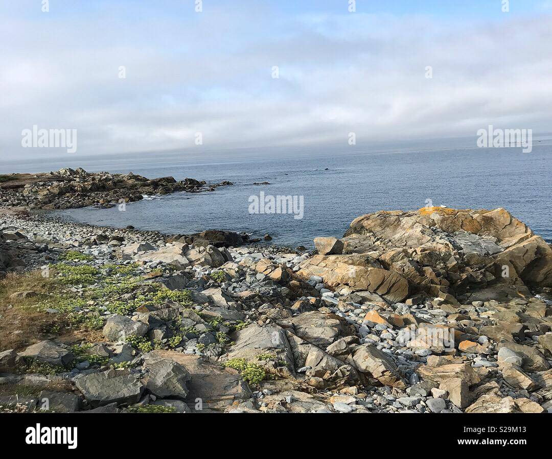 Guernsey Meer Stockfoto