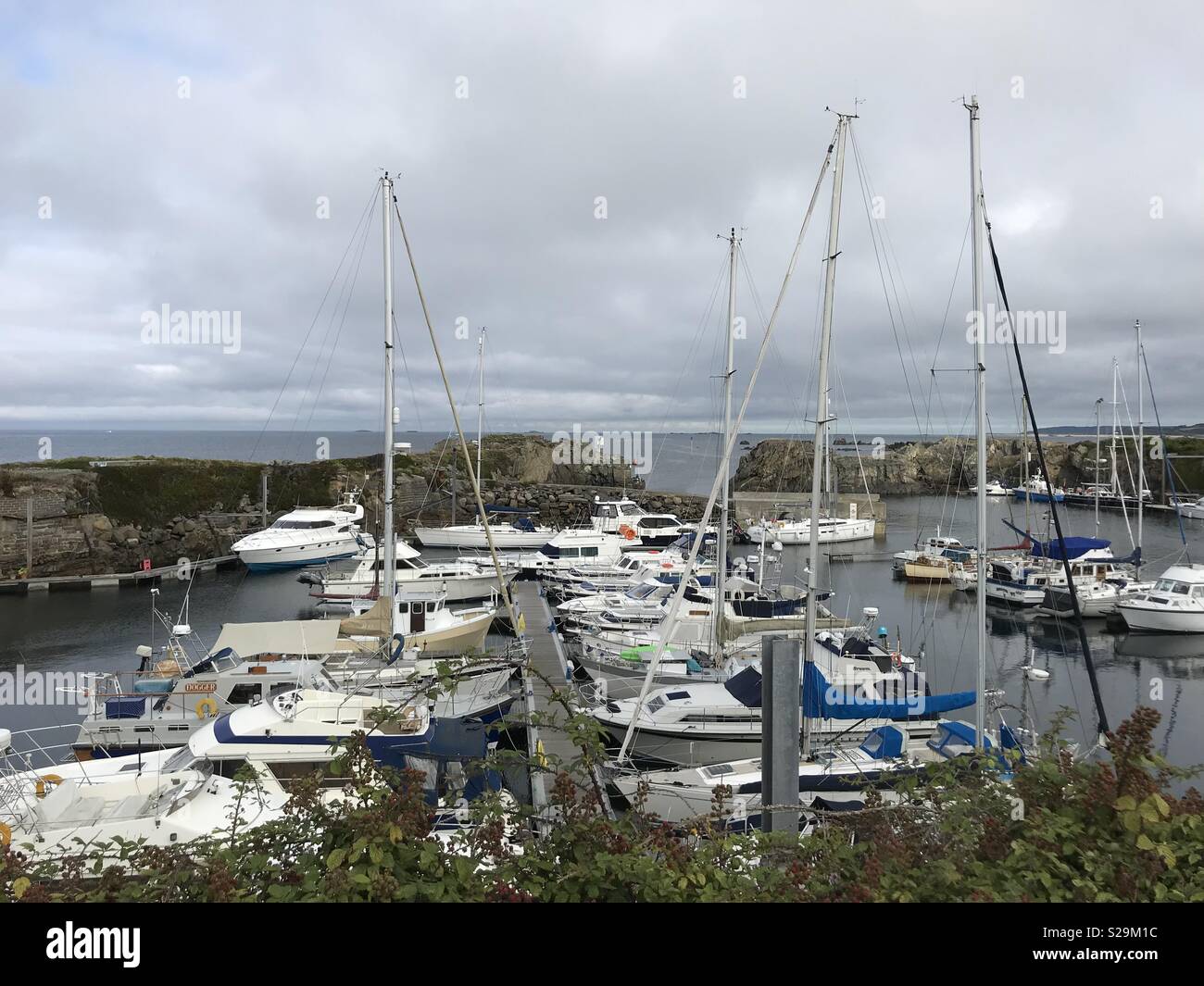 Marina Guernsey Stockfoto