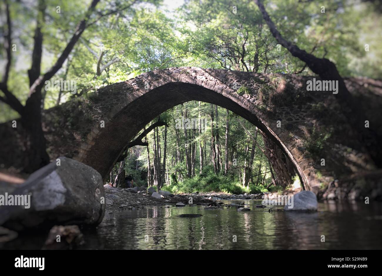 Alte mittelalterliche Brücke in den Wäldern von Zypern Stockfoto