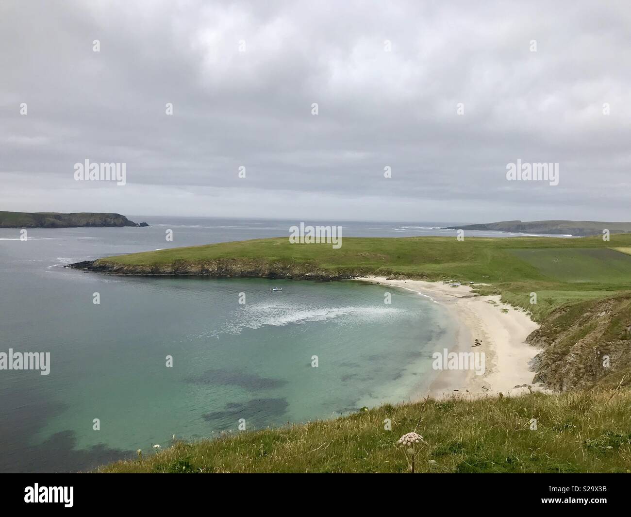 Einen sehr schönen Strand mit Dichtungen faulenzen in der Sonne, Shetland Inseln Stockfoto