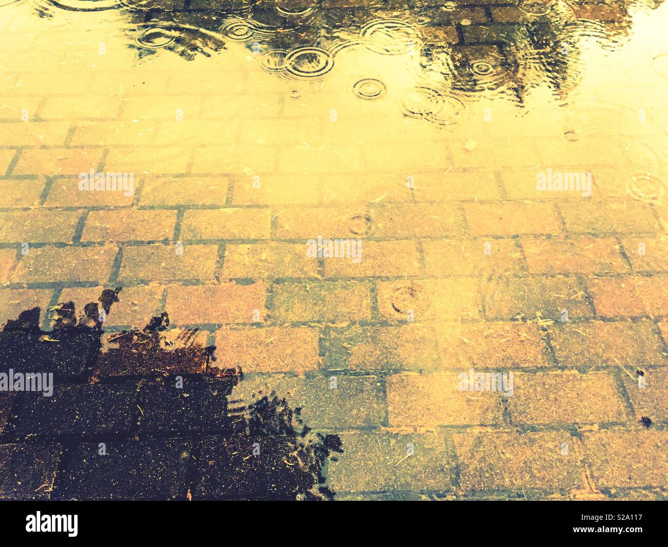 Schatten auf dem Boden an einem regnerischen Tag Stockfoto