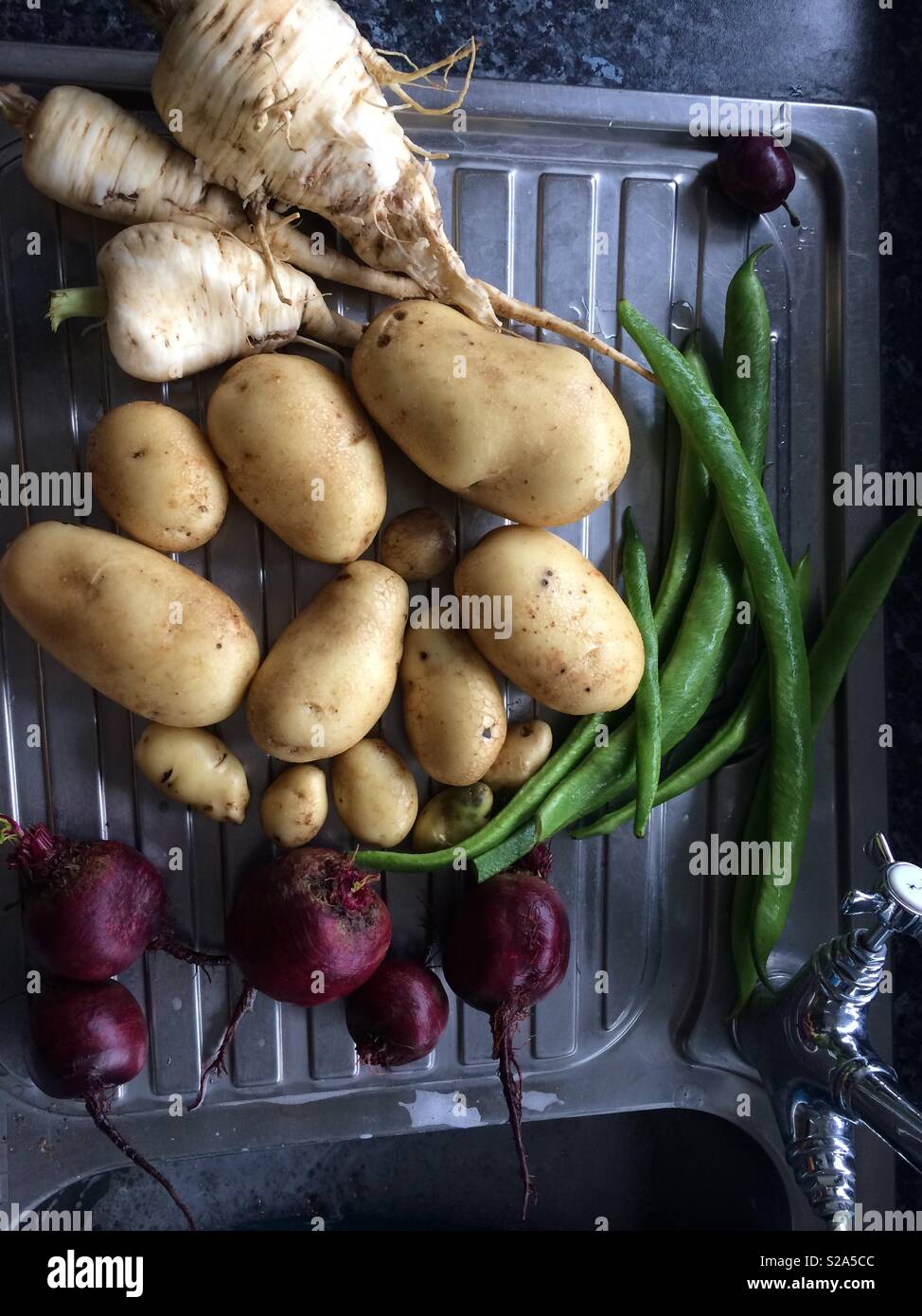 Selbst genügend Essen für kostenlose Zuteilung Gemüse, Kartoffeln, Bohnen, Radieschen Pastinaken Stockfoto