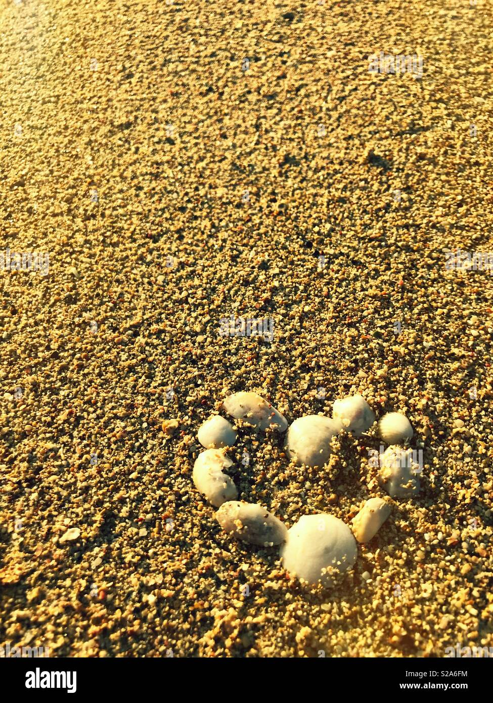 Sommer Urlaub Romantik: ein Herz aus weißen Muscheln am Strand Stockfoto