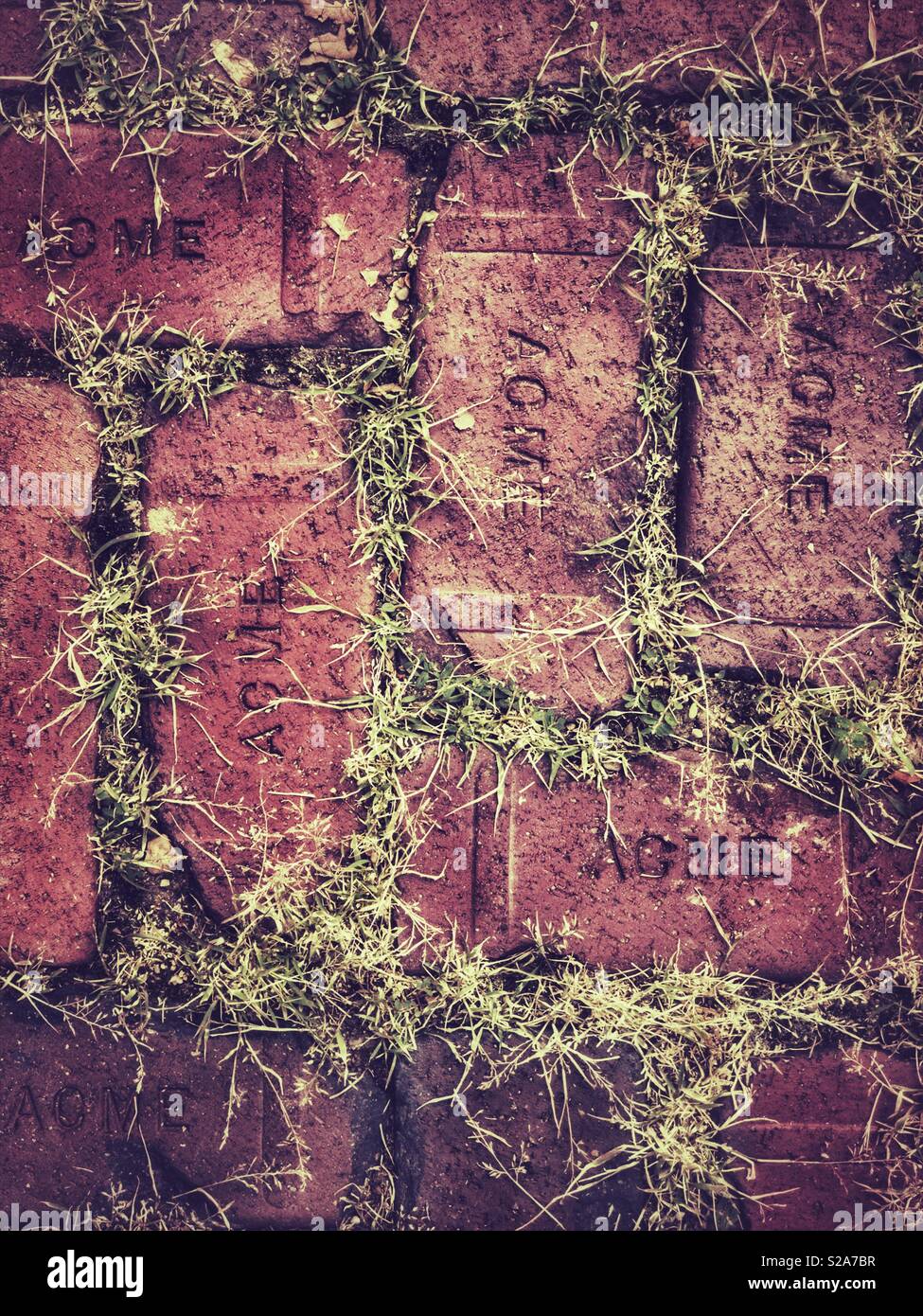 Brick Laufsteg mit Gras bewachsen - Smartphone-aufgenommenes Stockfoto