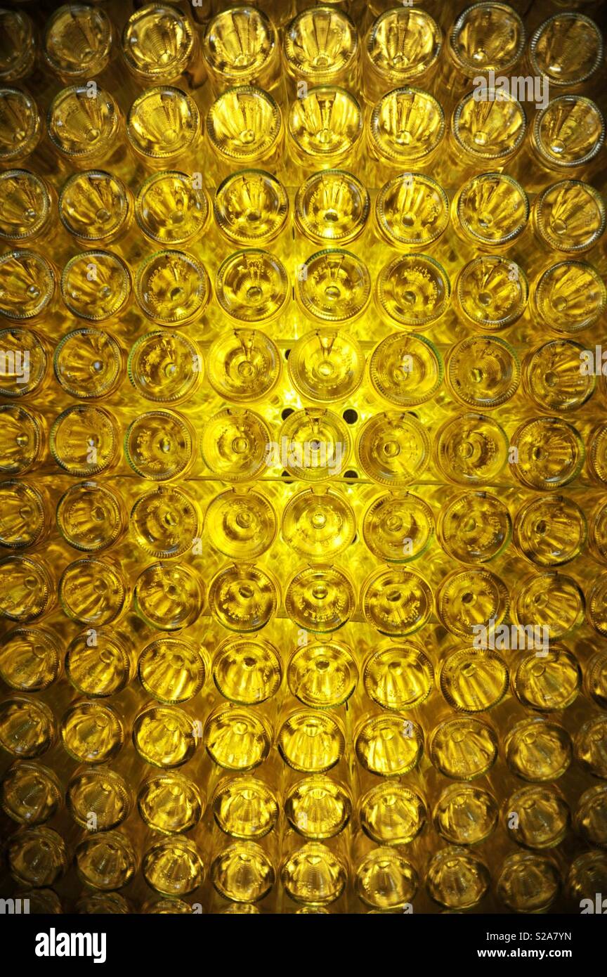 Eine gelbe Wand von Sauternes Wein in Frankreich Stockfoto