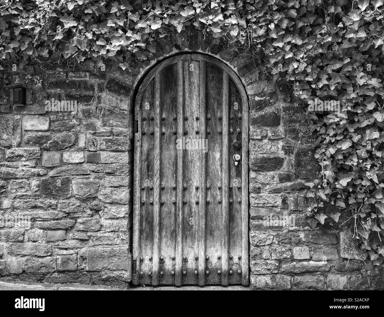 Eine Tür in eine Mauer aus Stein von Ivy in Bristol, UK umgeben Stockfoto