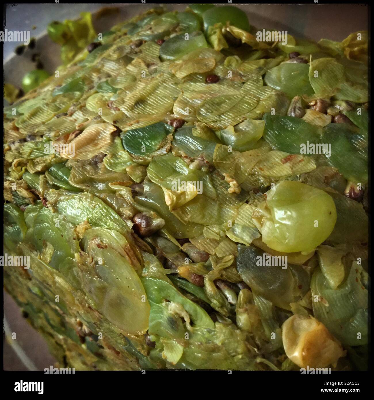 Compacted Trester nach Drücken für Wein, Katalonien, Spanien. - Smartphone-aufgenommenes Stockfoto