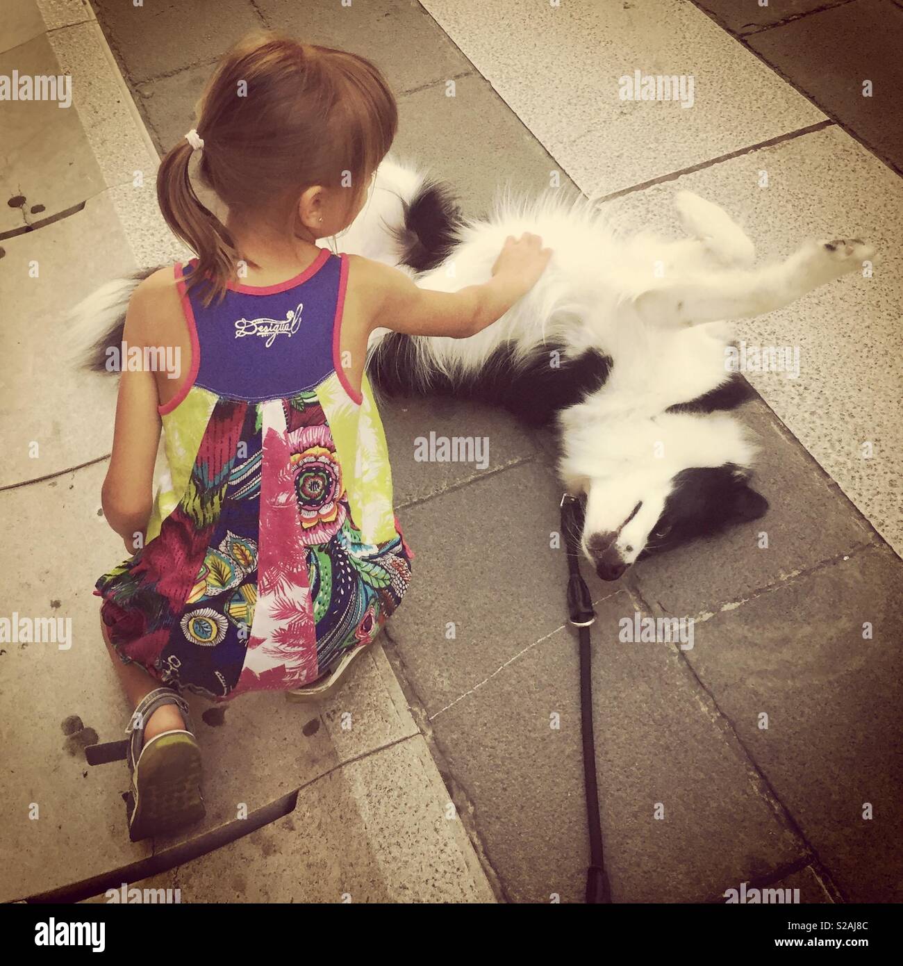 Baby girl Kuscheln ein Border Collie Hund. - Smartphone-aufgenommenes Stockfoto