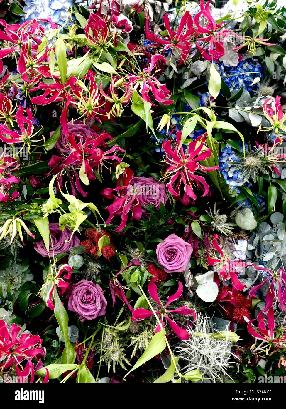 Tatton Park Flower Show 2018 Stockfoto