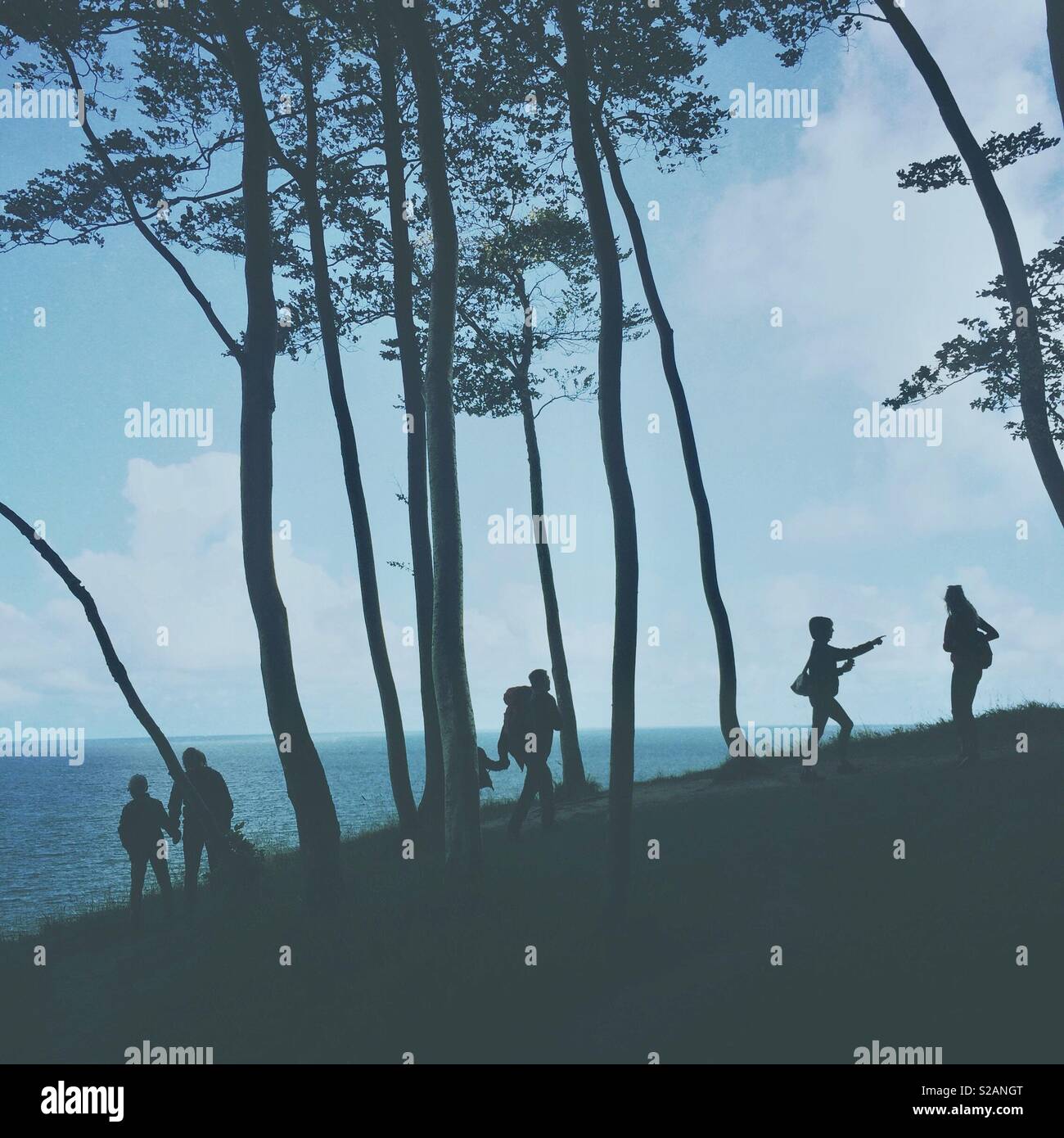 Figuren in den Bäumen an der Küste im Nationalpark Jasmund an der Ostseeküste der Rügeninsel Deutschland - Figuren in Baumlandschaft Silhouetten - Smartphone-aufgenommenes Stockfoto