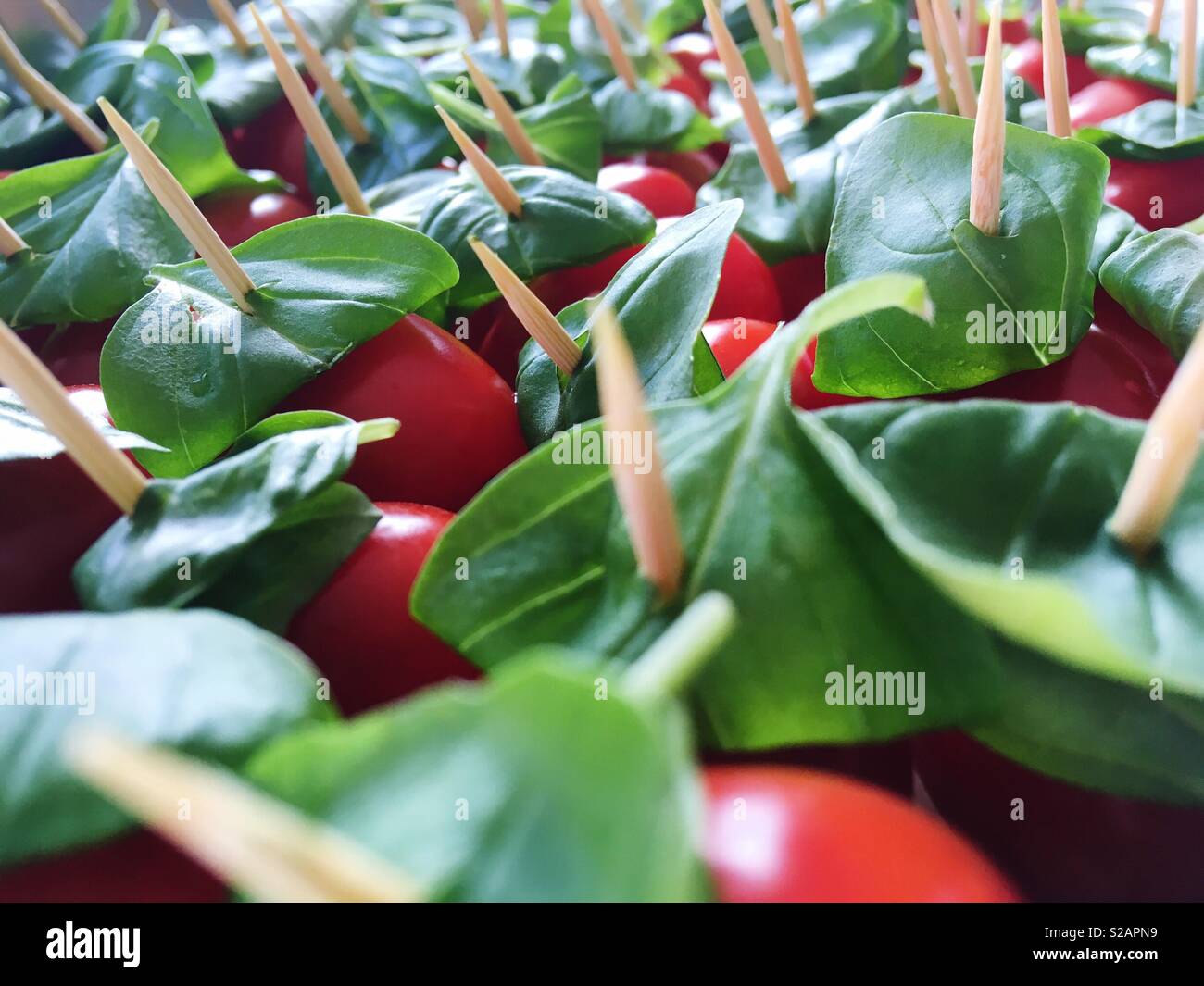 Frische Tomaten mit Blätter Basilikum auf Zahnstocher. Stockfoto