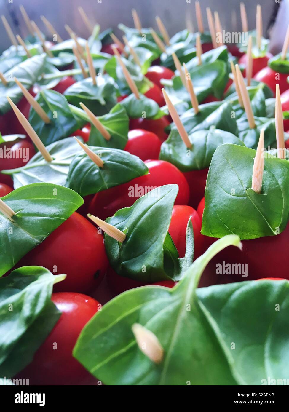 Frische Tomaten mit Basilikum Blätter auf Zahnstocher. Stockfoto