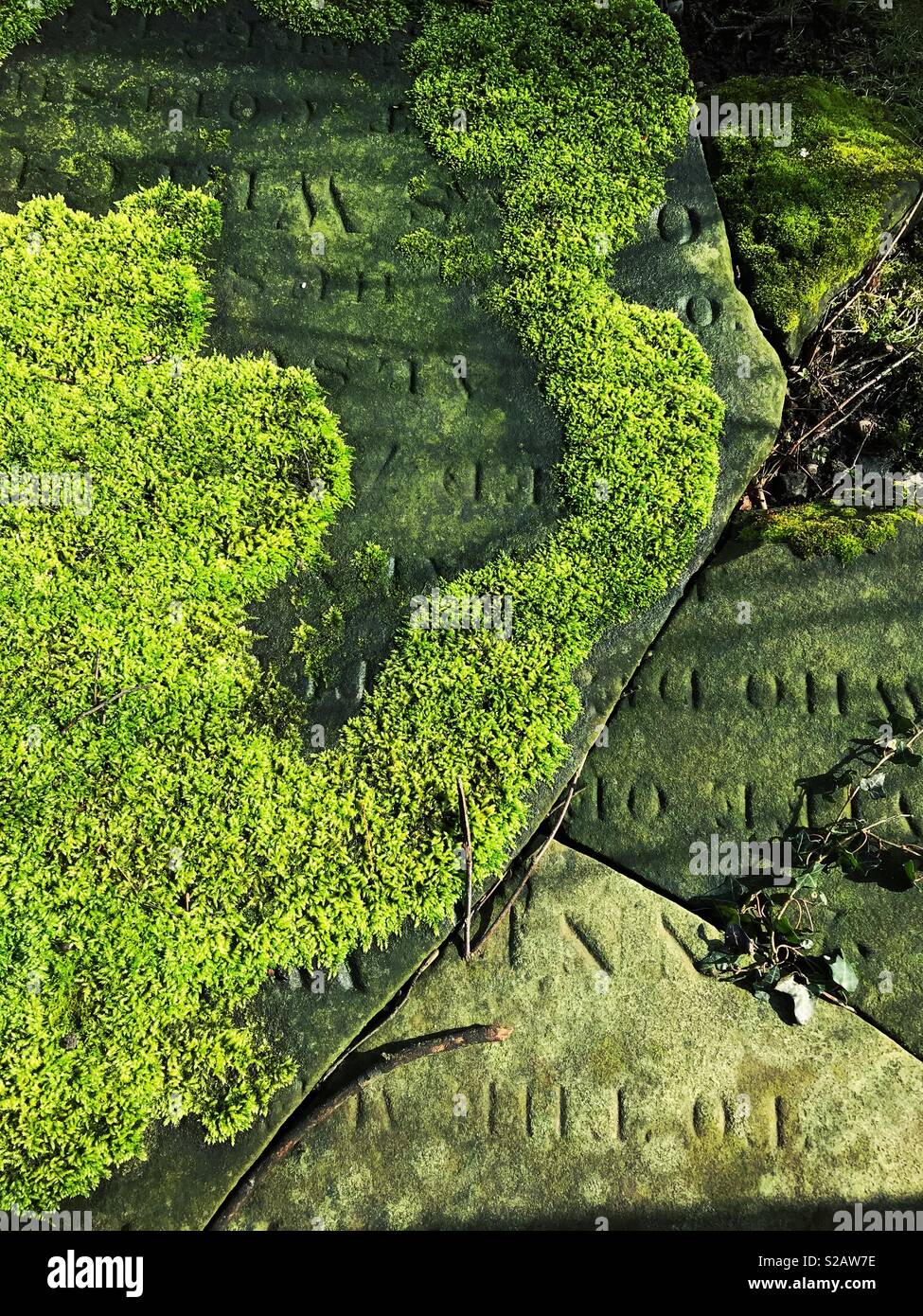 Moos auf einer alten Grab stein. Stockfoto