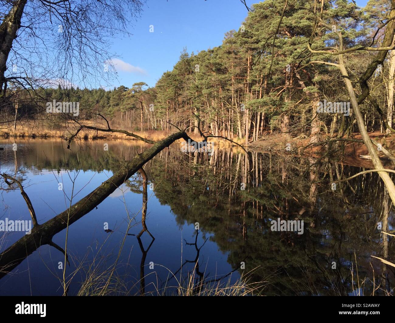 See Spiegelung Stockfoto