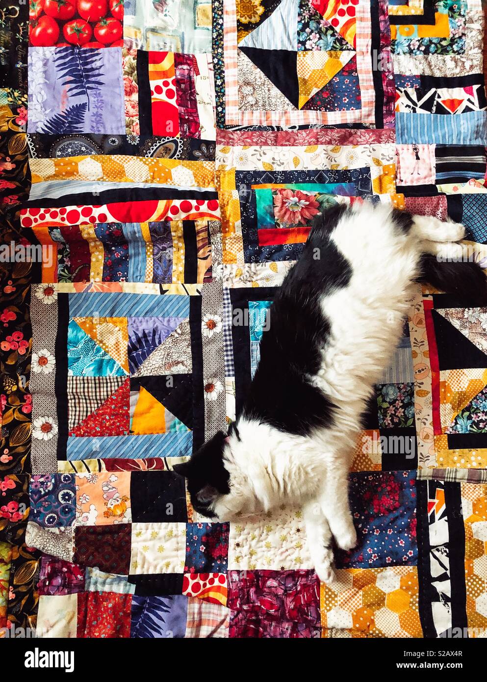 Flauschige Katze erstreckt sich auf einem farbenfrohen handgefertigten Modern Quilt Stockfoto
