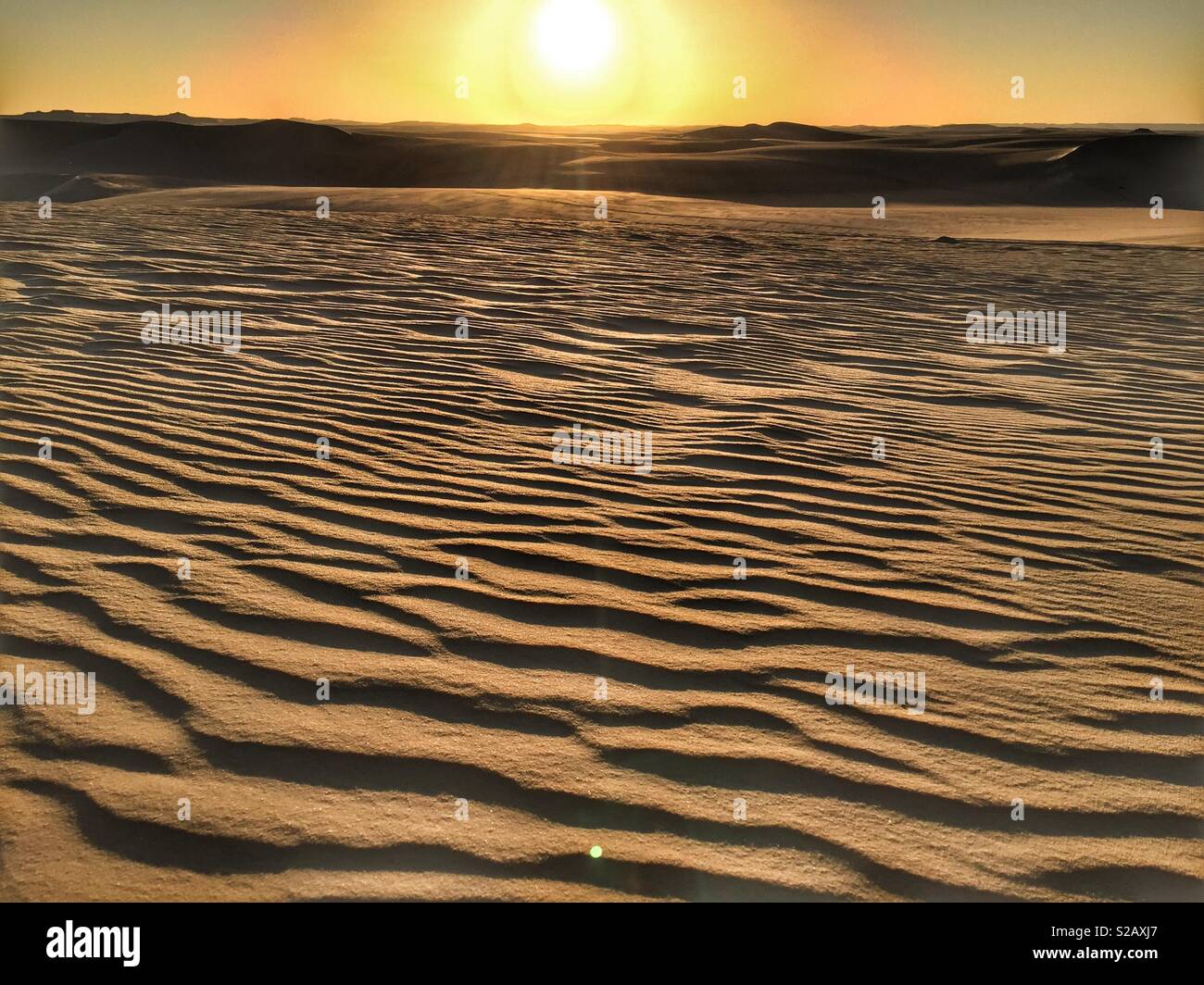 Sahara-Wüste bei Sonnenuntergang Stockfoto