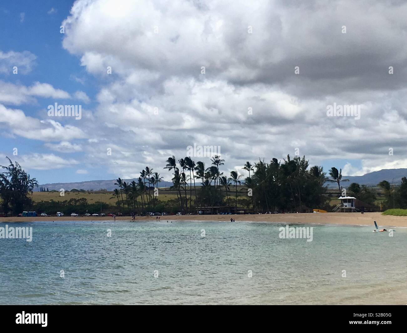 Ruhigen Strand und Palmen, Salt Pond Park, Kauai Stockfoto