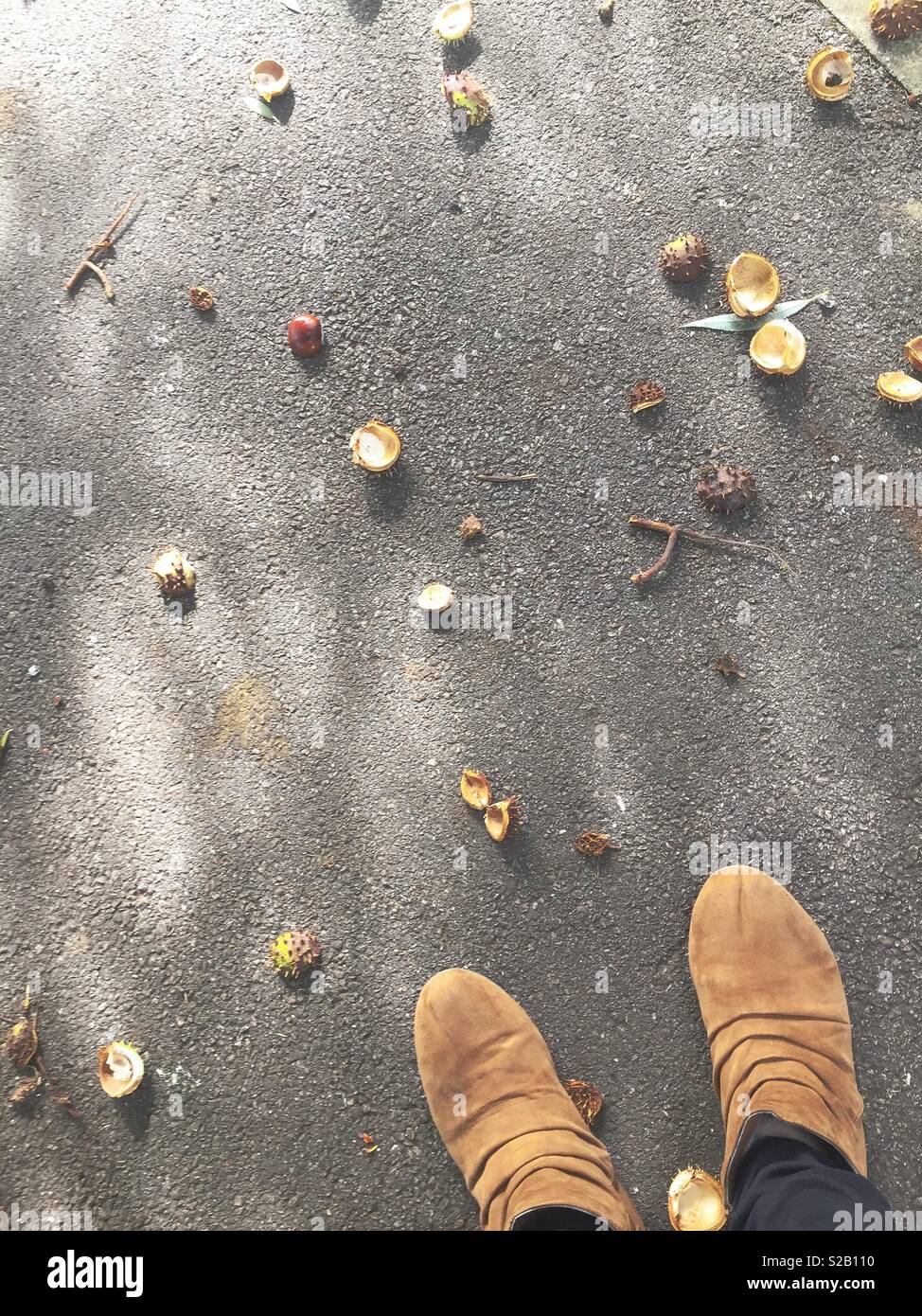 Frühe Anzeichen von Herbst: Wandern durch Conkers - Smartphone-aufgenommenes Stockfoto