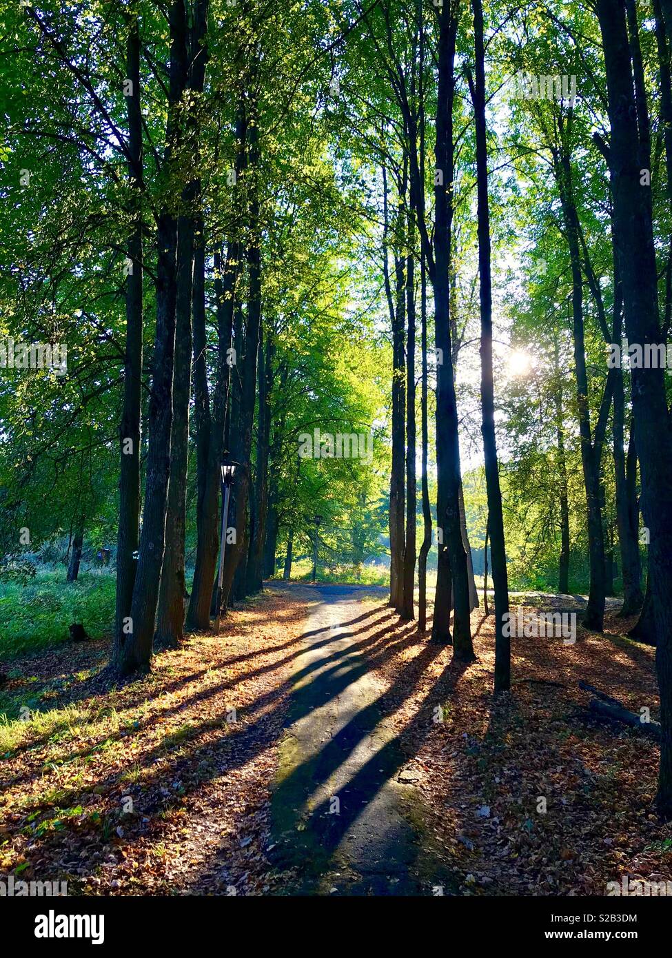 Die hellen, sonnigen Morgen - Smartphone-aufgenommenes Stockfoto