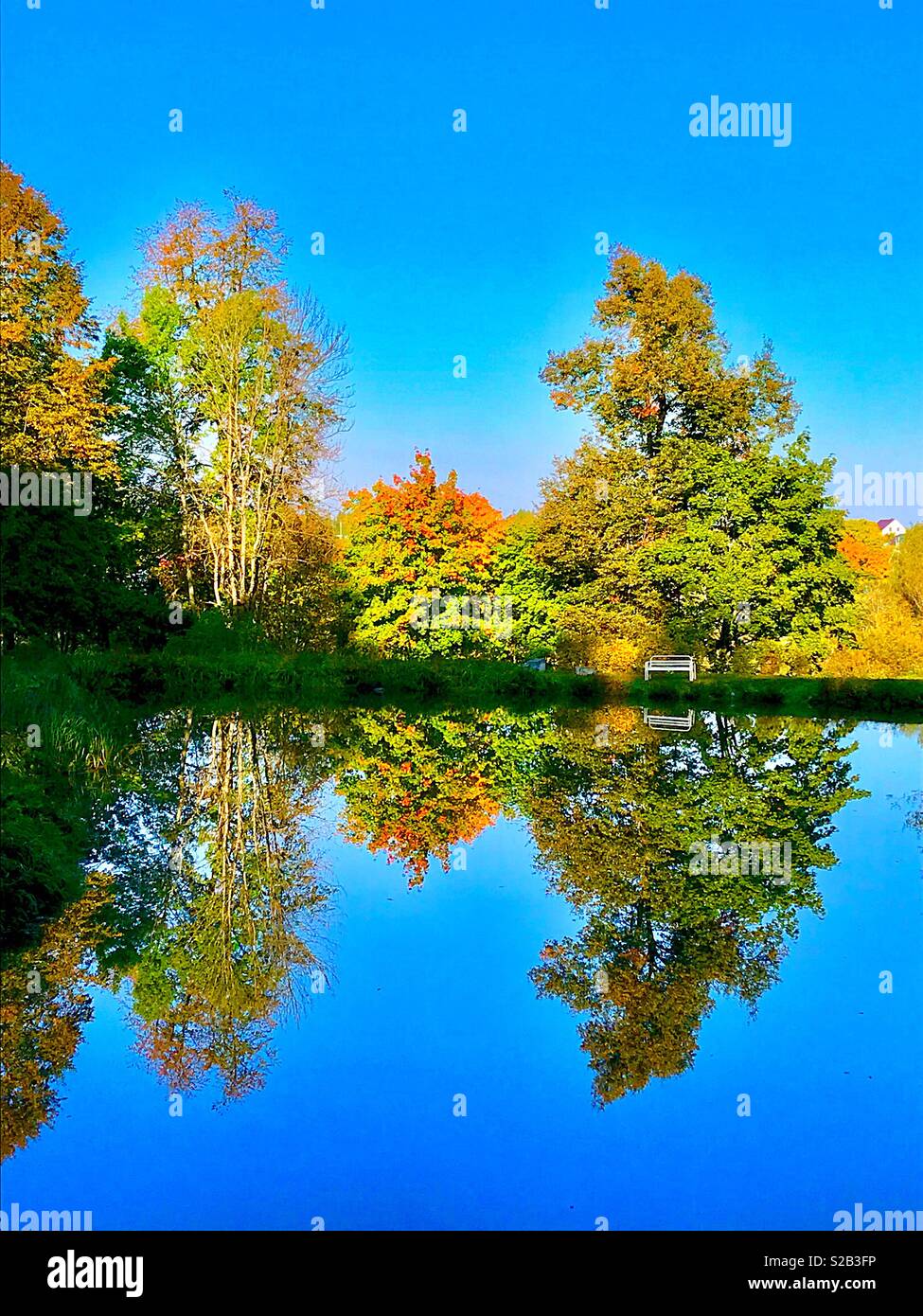 Morgen-Reflexion - Smartphone-aufgenommenes Stockfoto