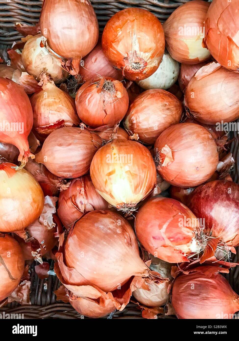 Weiße Zwiebeln für den Verkauf - Smartphone-aufgenommenes Stockfoto