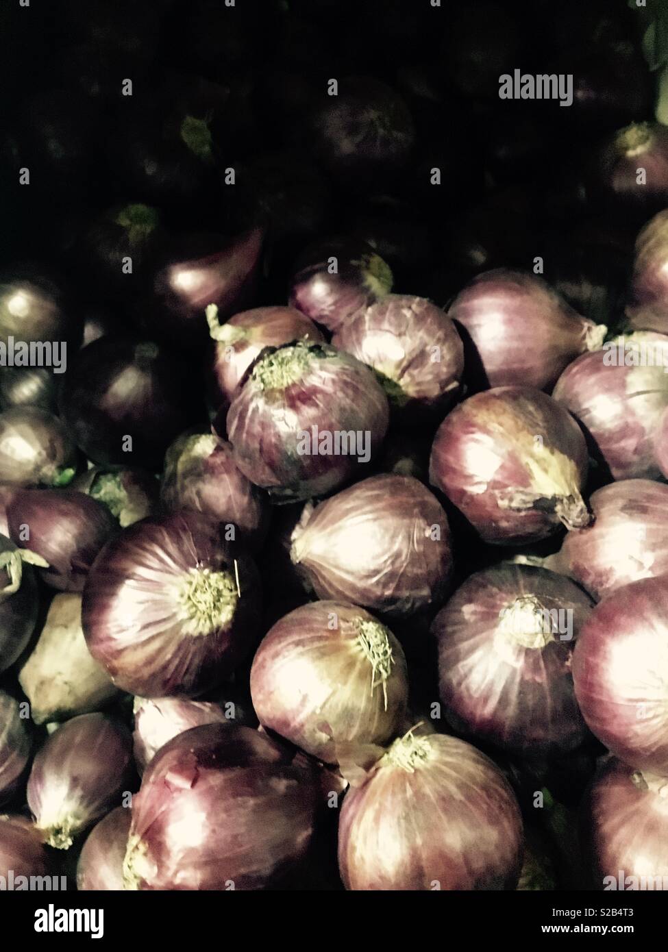 Kleine rote Zwiebeln in Bangladesch London asiatischen Supermarkt Stockfoto