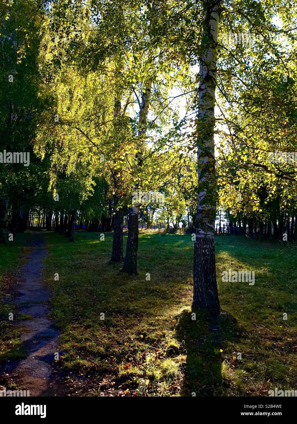 Anfang Herbst morgen Stockfoto