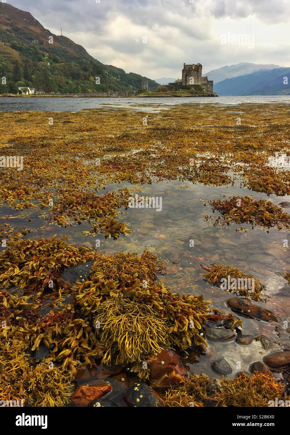 Eilean Donan Castle in Dornie, Schottland, mit Algen und Steine im Vordergrund. Stockfoto