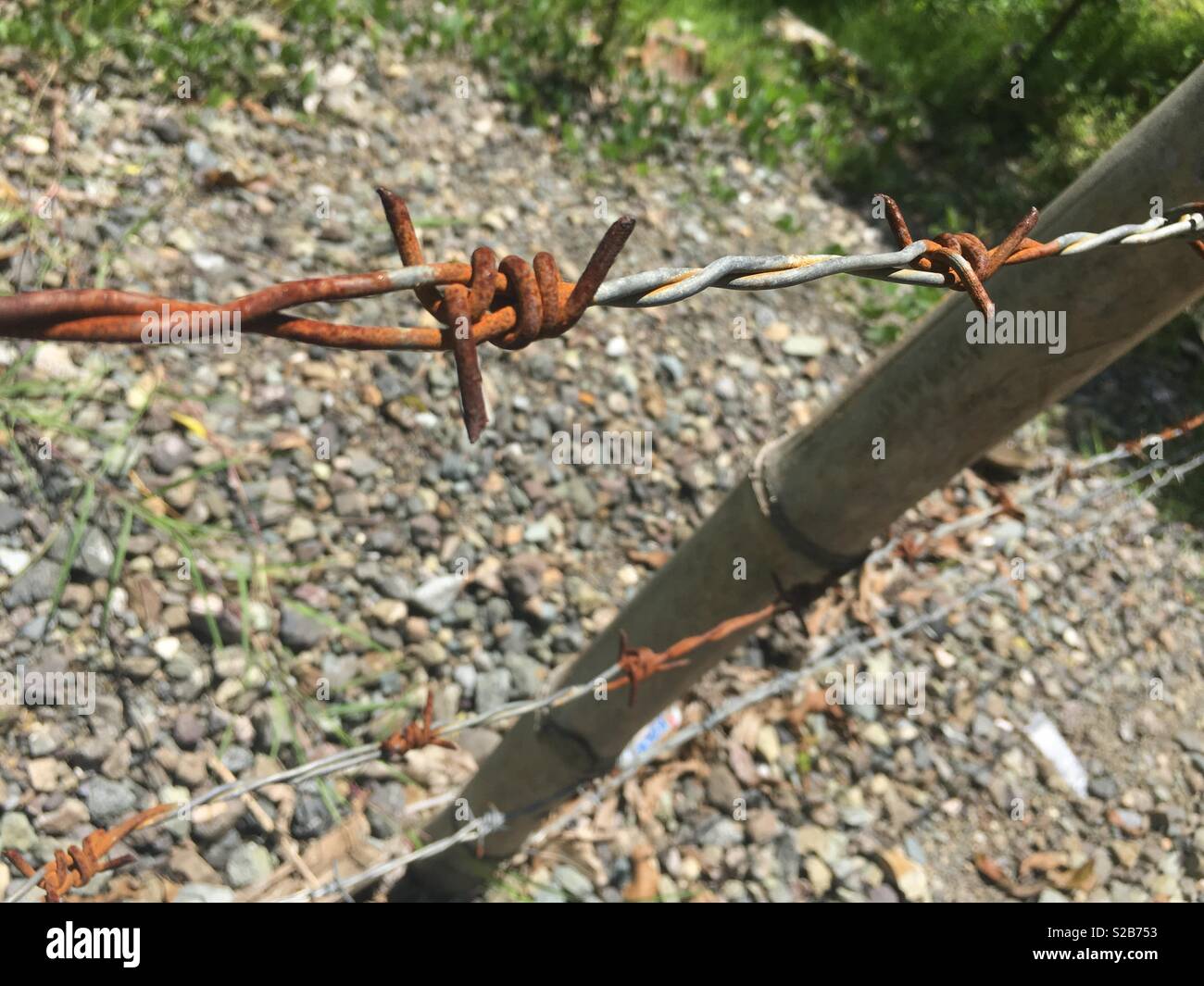 Stacheldraht Zaun - Smartphone-aufgenommenes Stockfoto