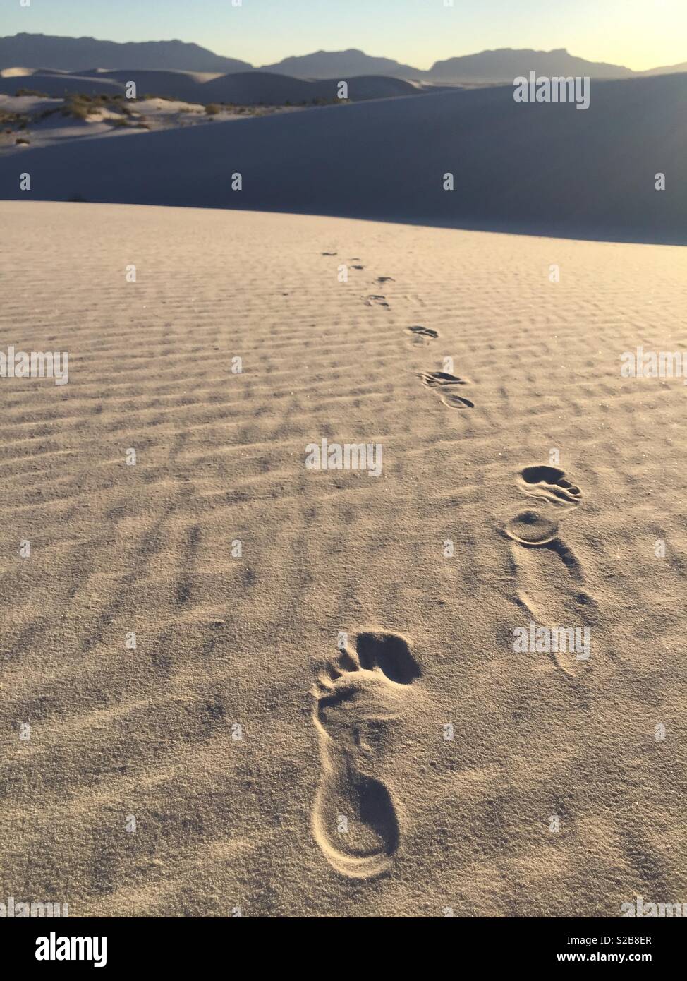 Footprints in the sand vertical -Fotos und -Bildmaterial in hoher ...