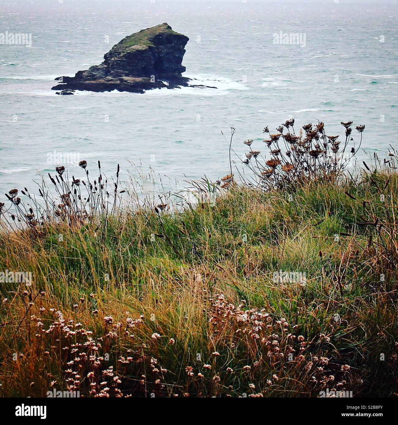 Gull Rock aus portreath an der Küste von Cornwall Stockfoto