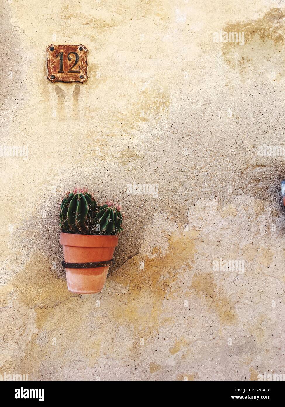 Ein Kaktus Pflanze an einer Wand mit einem eisernen Ring in der Stadt Tarragona, Katalonien, Spanien - Smartphone-aufgenommenes Stockfoto