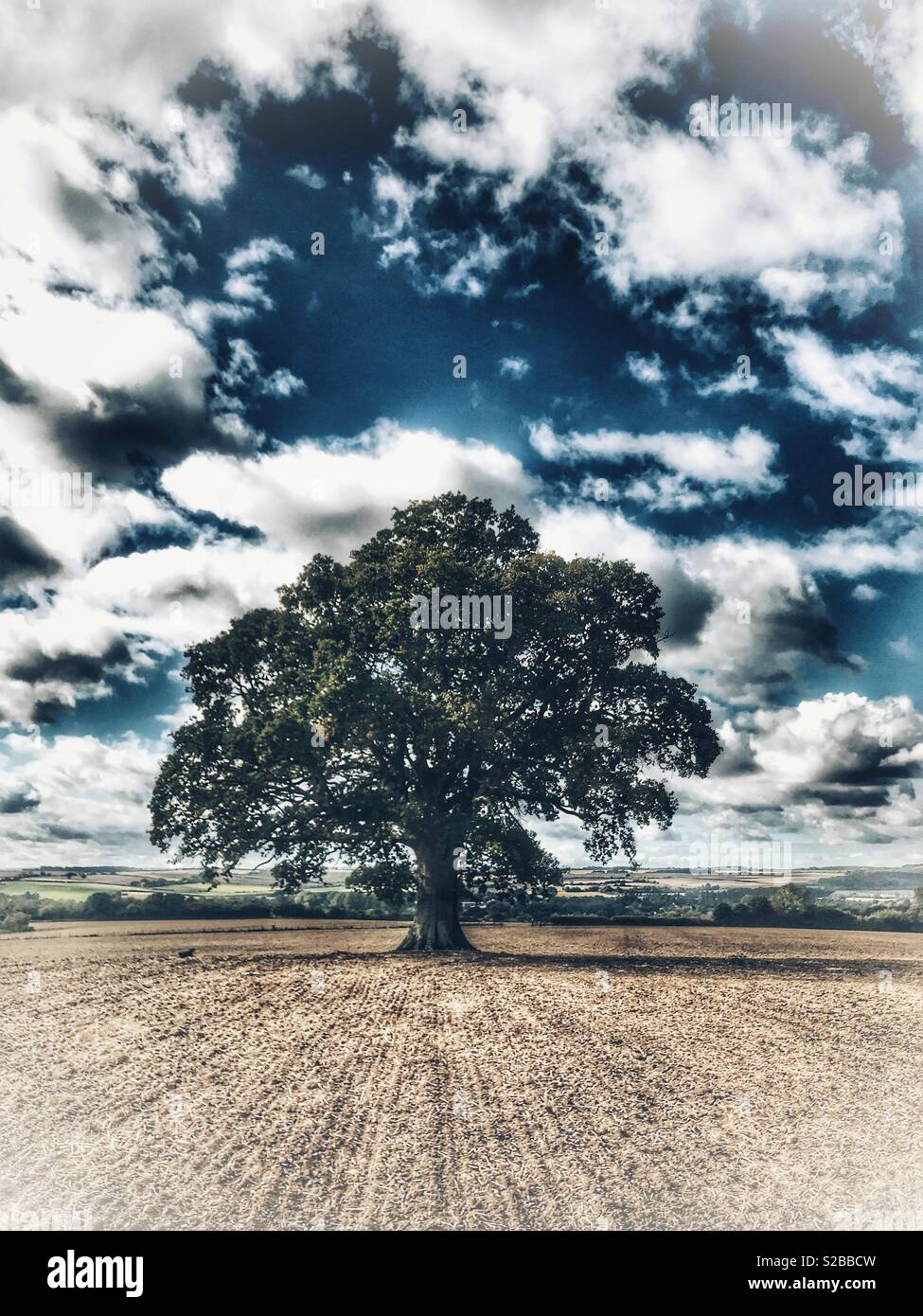 Eiche, Wiltshire, England - Smartphone-aufgenommenes Stockfoto