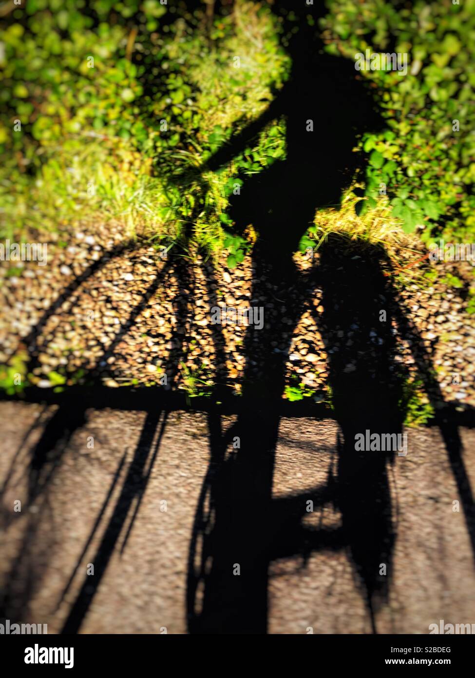 Schatten der ein Radfahrer auf einem Radweg. Stockfoto