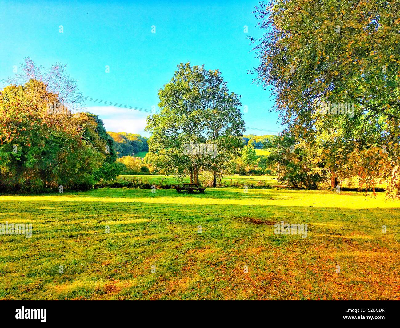 Parklandschaft im Herbst Farben Stockfoto