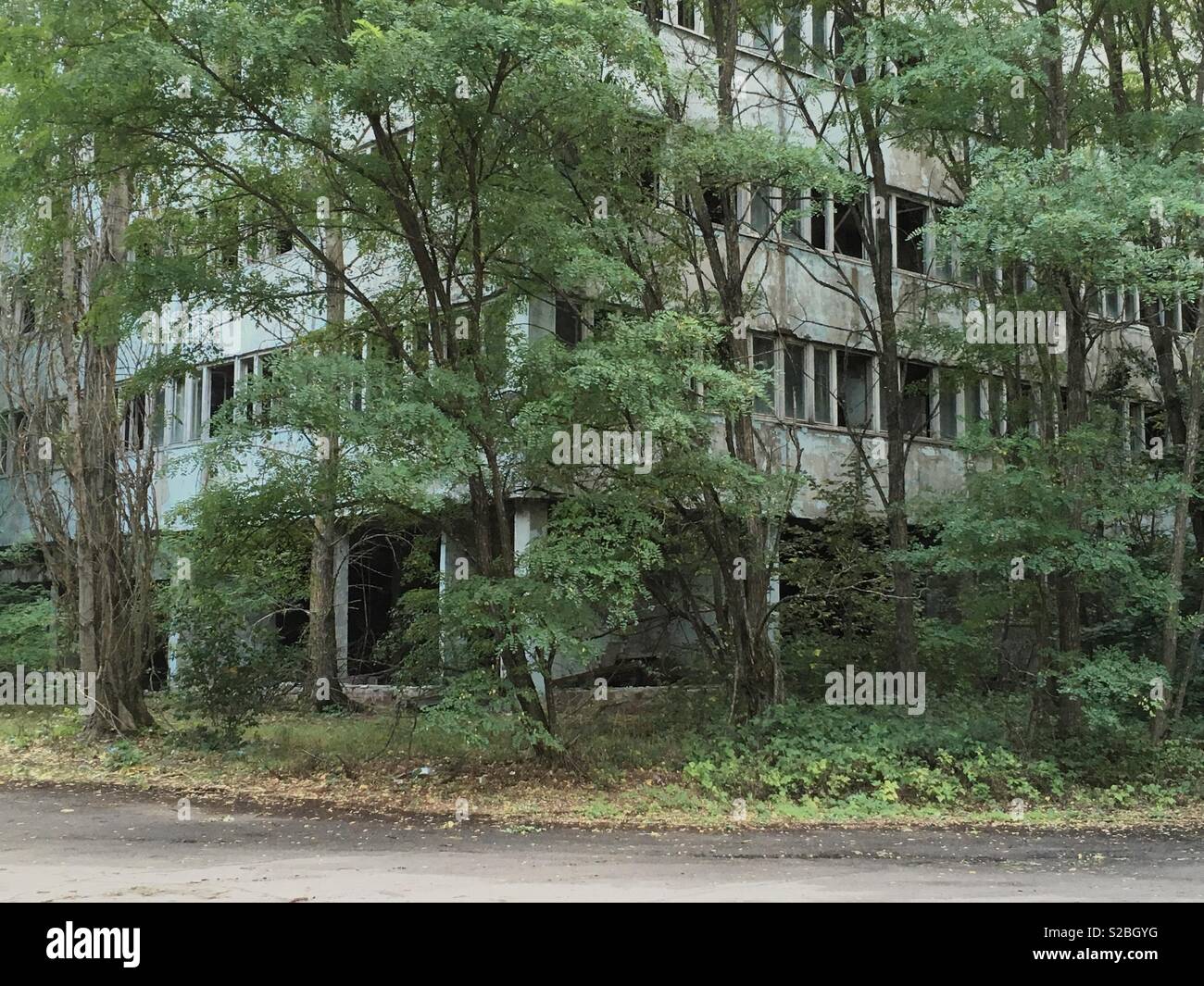 Aufbau eines Bäume in der verlassenen Stadt Pripyat in der Gegend von Tschernobyl, Ukraine Stockfoto