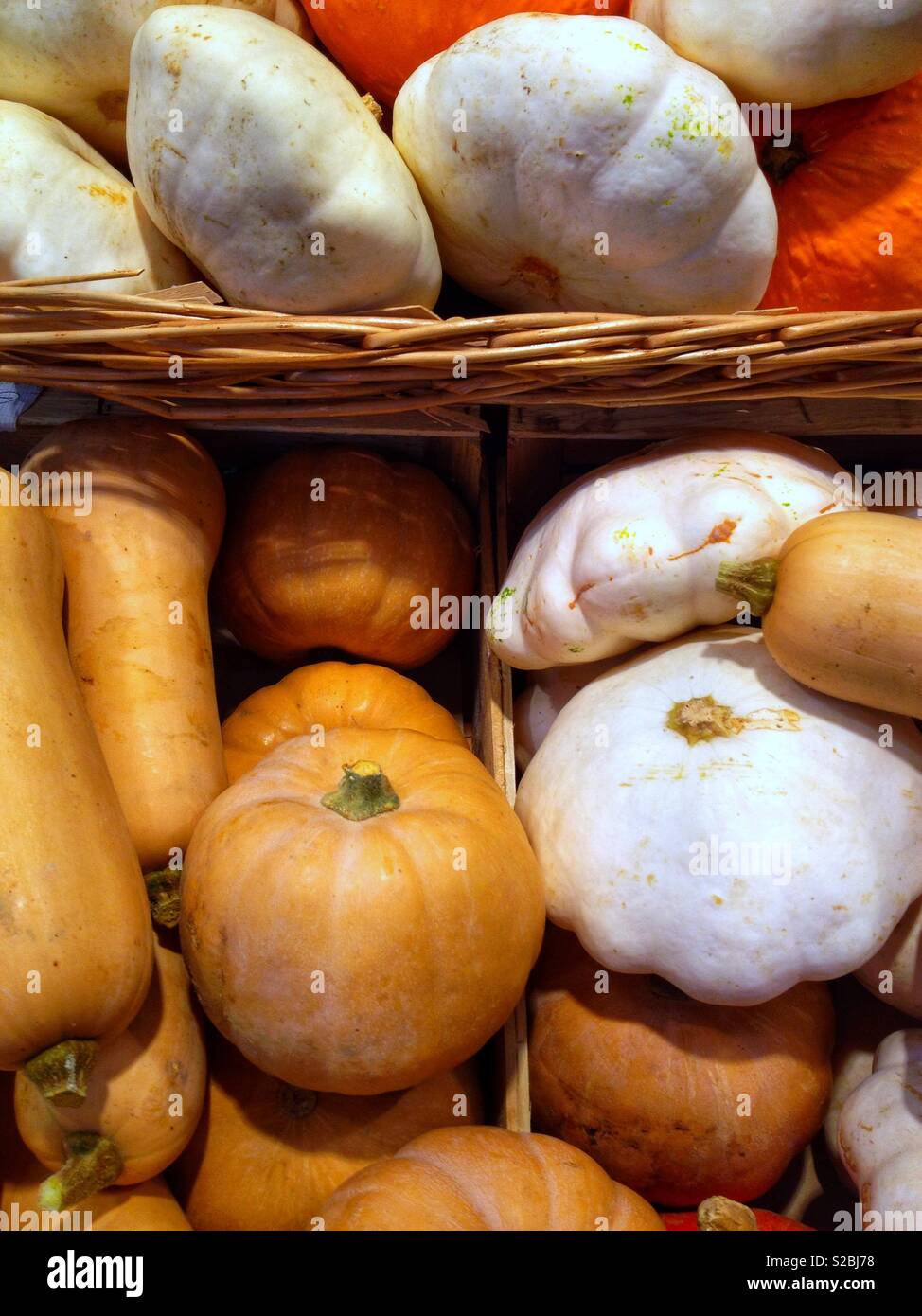 Übersicht Squash in einem Geschäft - Smartphone-aufgenommenes Stockfoto