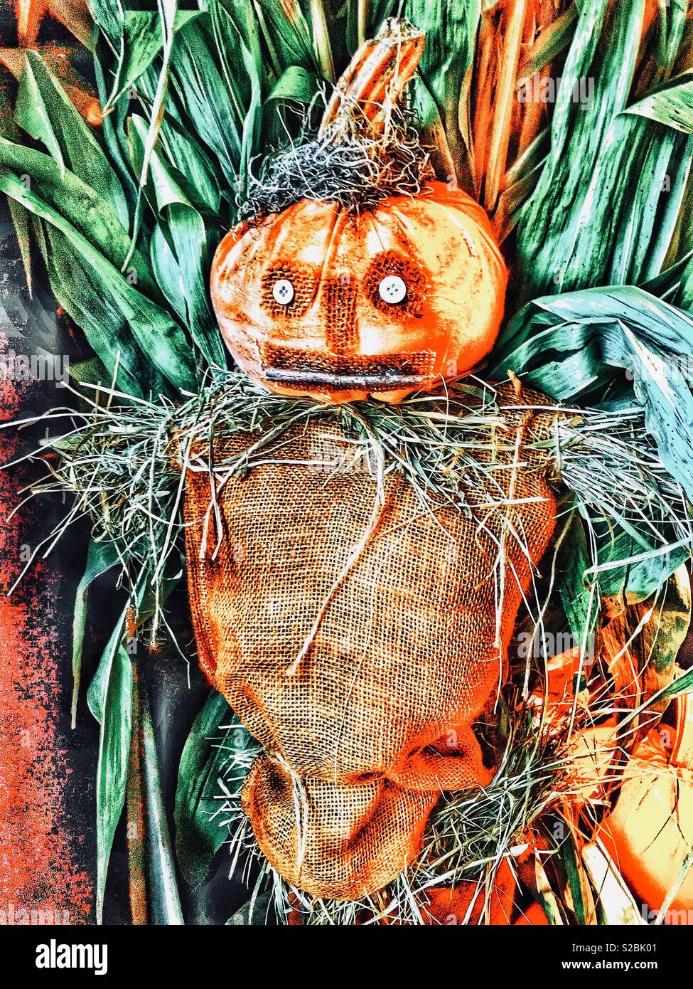 Creepy Pumpkin Head Vogelscheuche Dekor Stockfoto