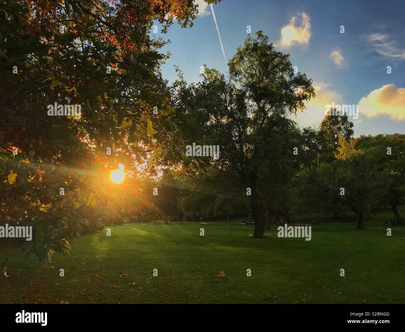 Die untergehende Sonne durch Bäume in einem öffentlichen Park Stockfoto