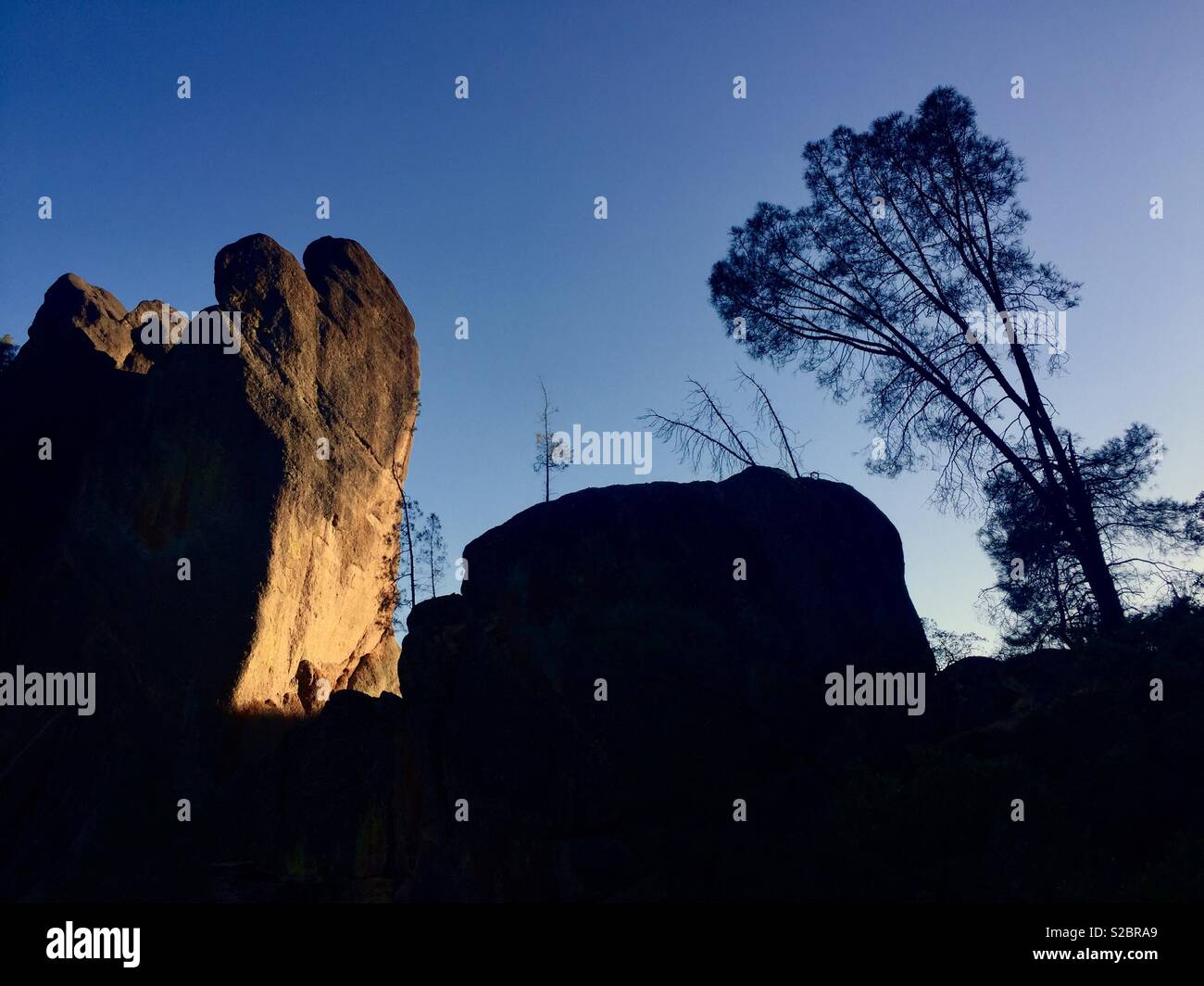 Abendlicht auf den Klippen, Westwand des Pinnacle Rock und Silhouette eines schiefen Baumes im Pinnacles National Park, Kalifornien. - Smartphone-aufgenommenes Stockfoto