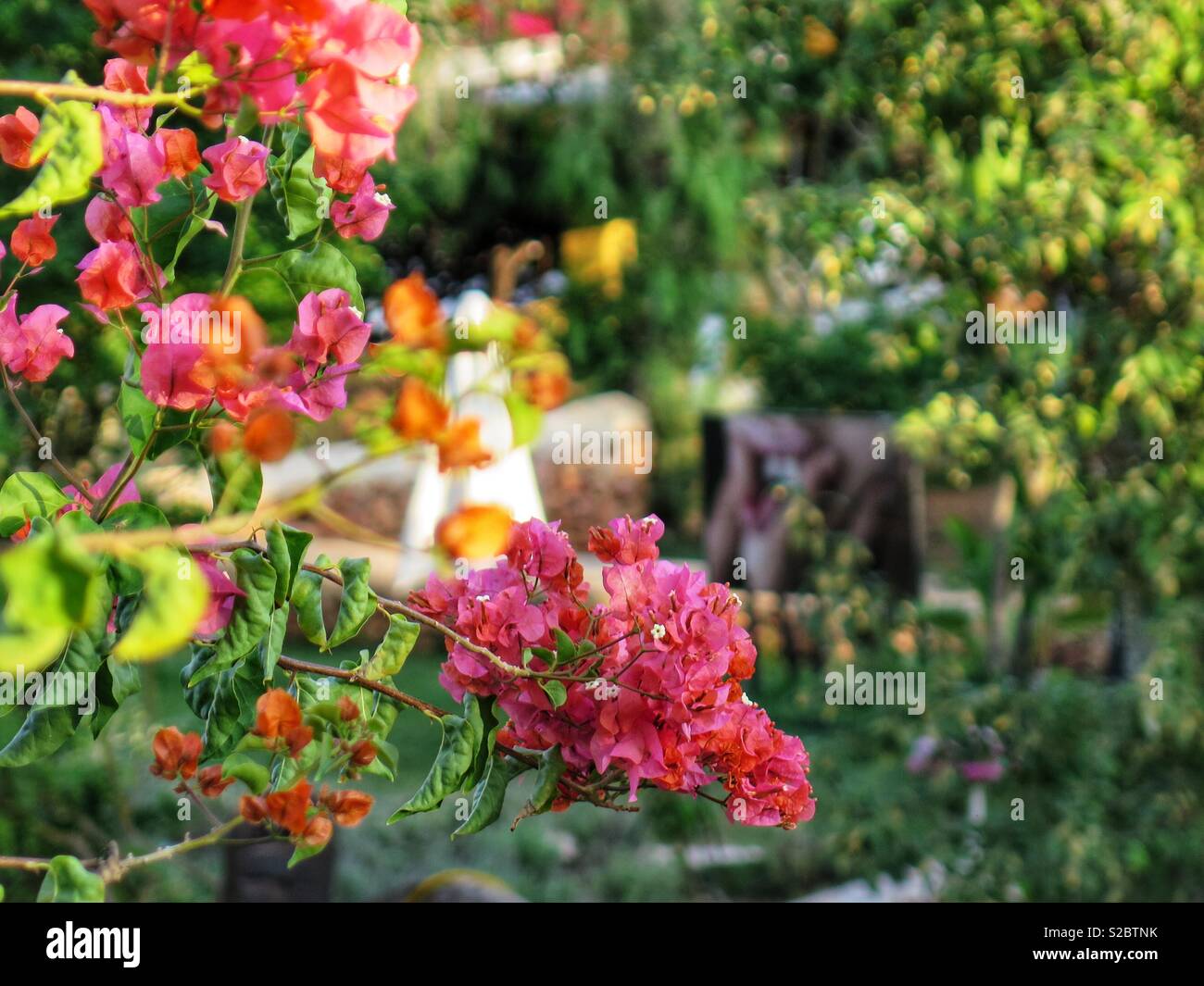 Kunst im Garten in der Pikes Ibiza - Smartphone-aufgenommenes Stockfoto