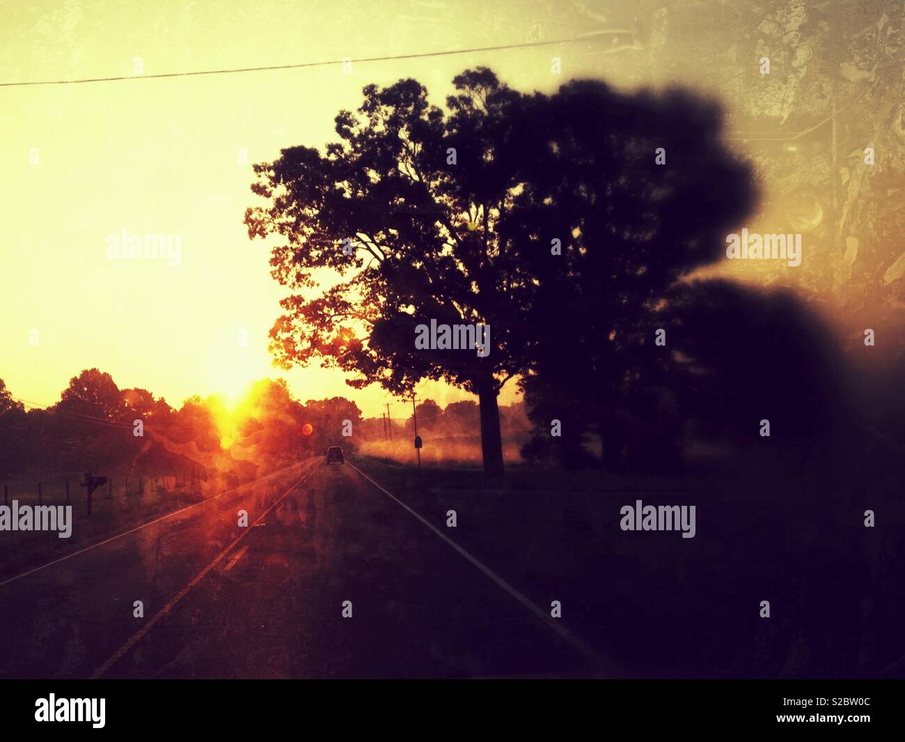 Rot leuchtet Sonnenaufgang über der Baumgrenze jenseits des Highways mit Baumsilhouette in North Carolina - Smartphone-aufgenommenes Stockfoto