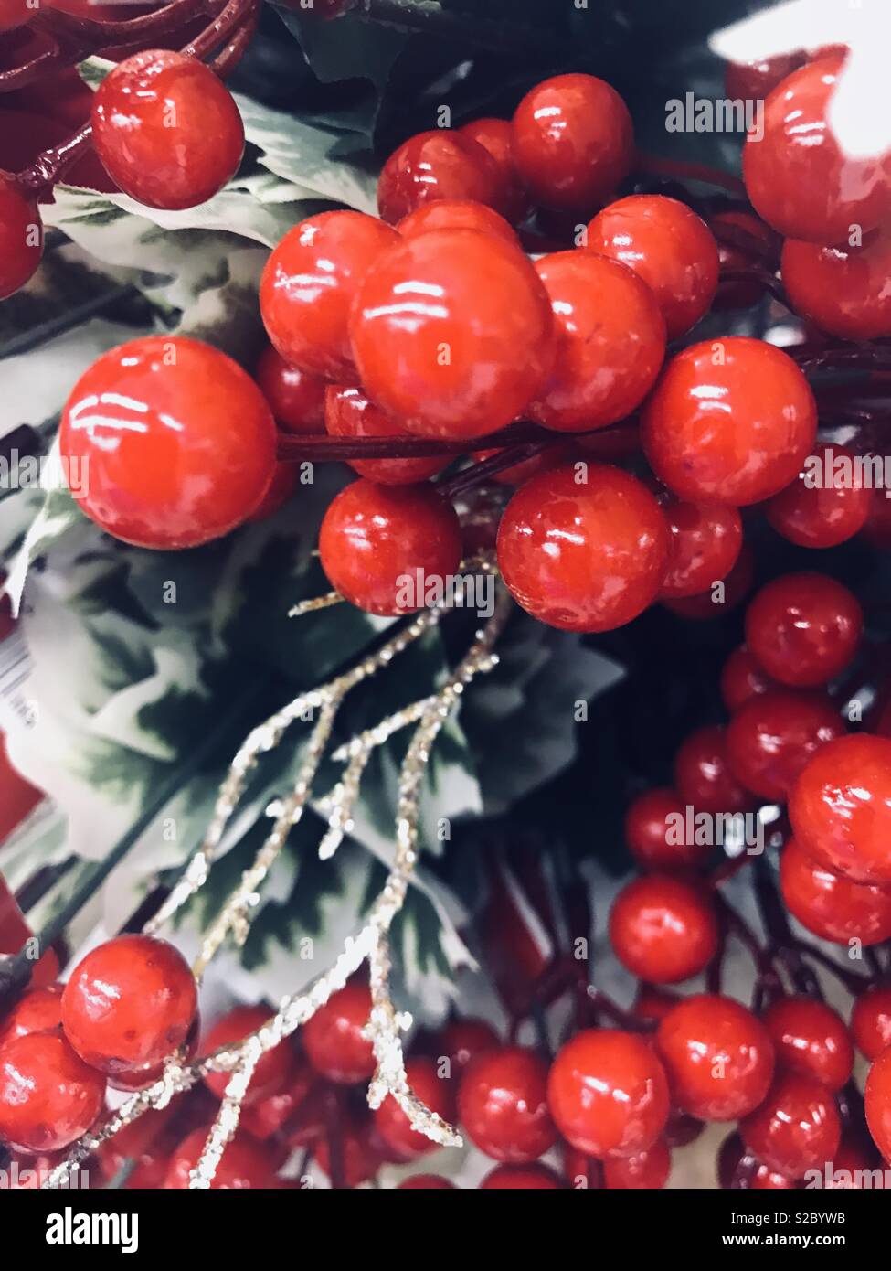 Rot, schöne Weihnachtsferien Beeren Stockfoto